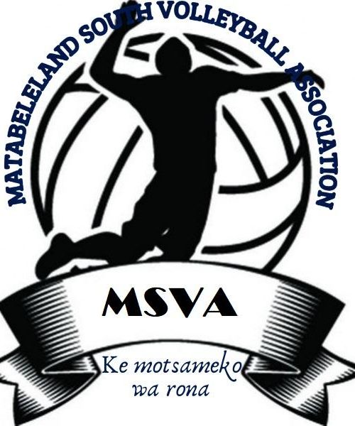 logo mat south volleyball